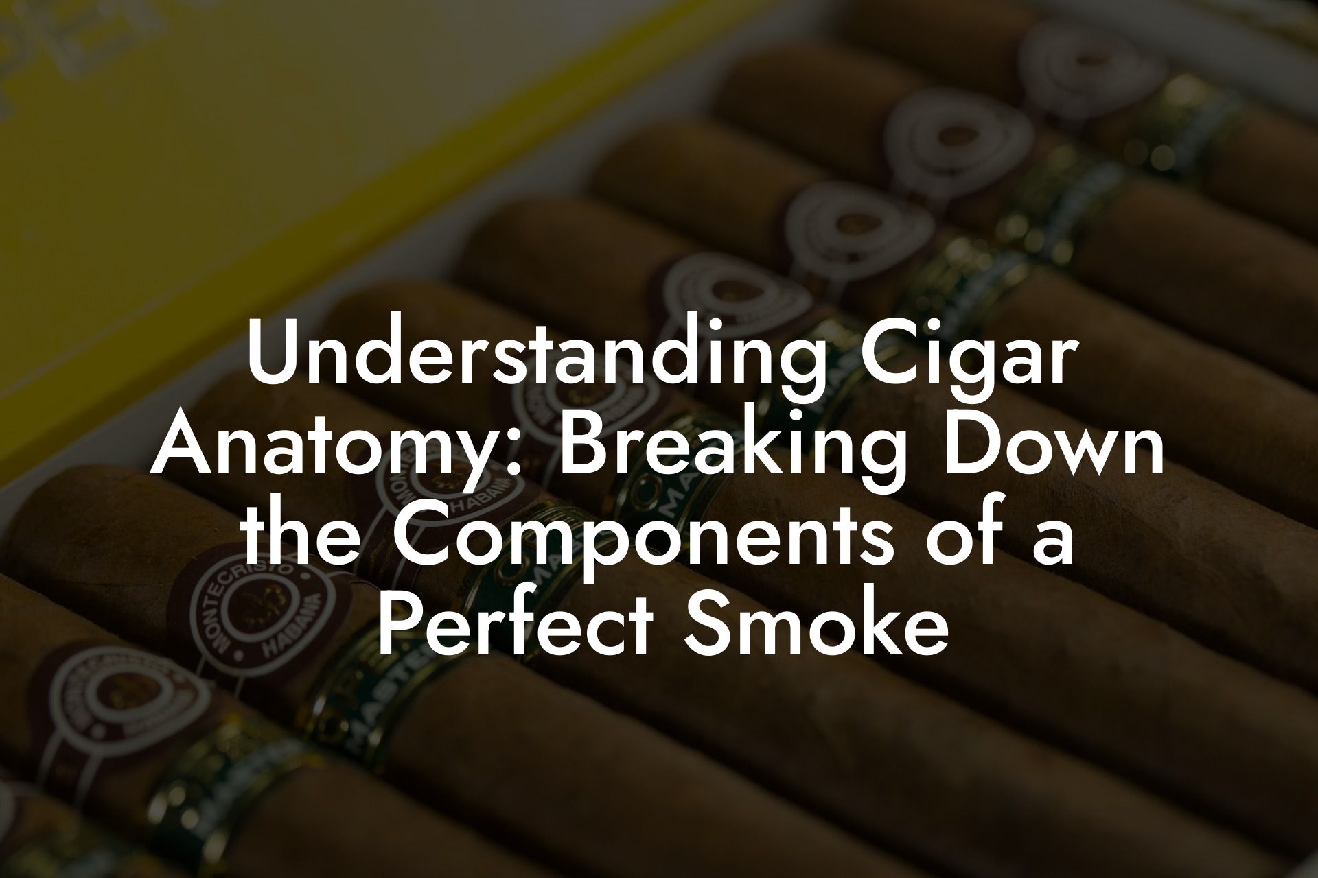 Understanding Cigar Anatomy: Breaking Down the Components of a Perfect Smoke