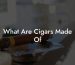 What Are Cigars Made Of
