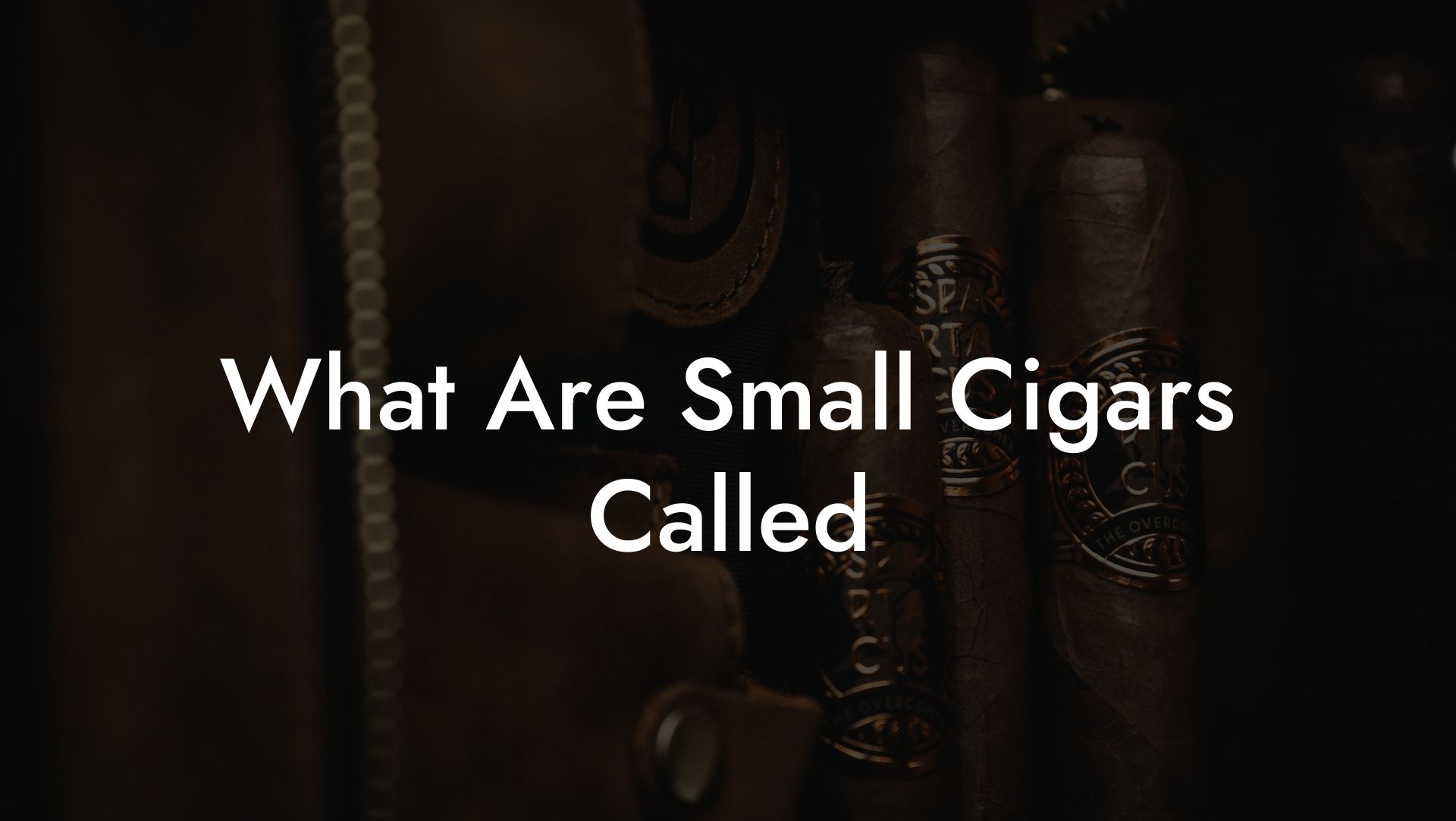 What Are Small Cigars Called