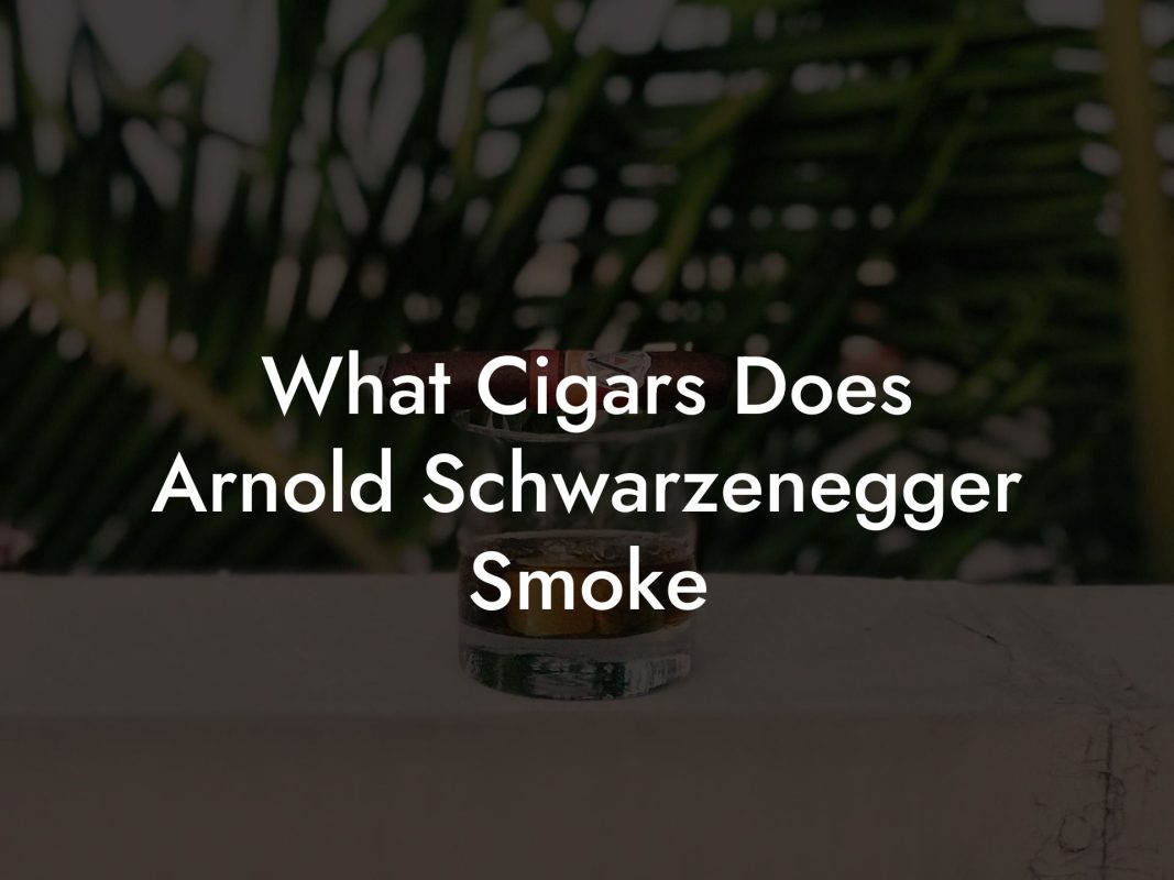 What Cigars Does Arnold Schwarzenegger Smoke