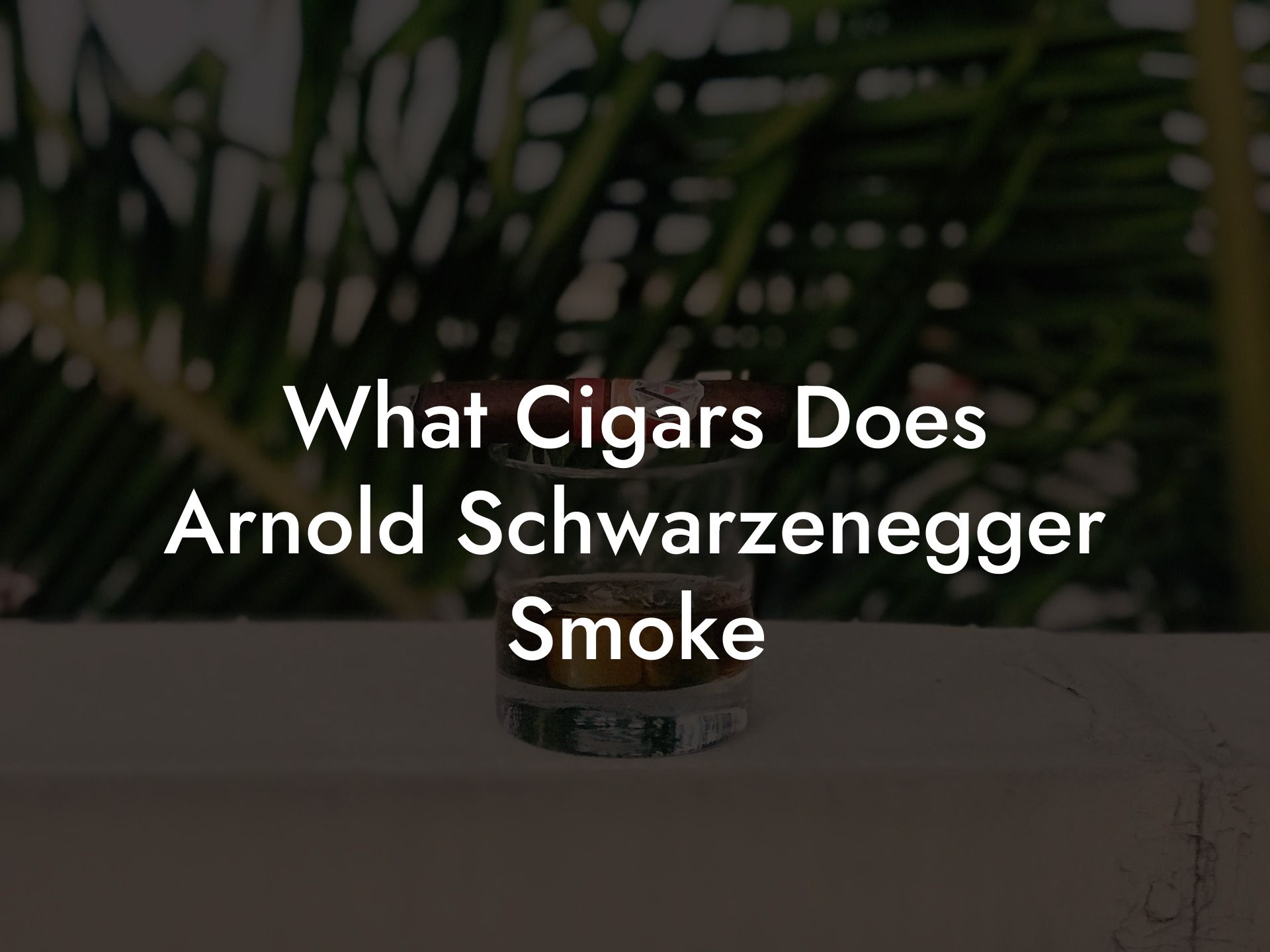 What Cigars Does Arnold Schwarzenegger Smoke