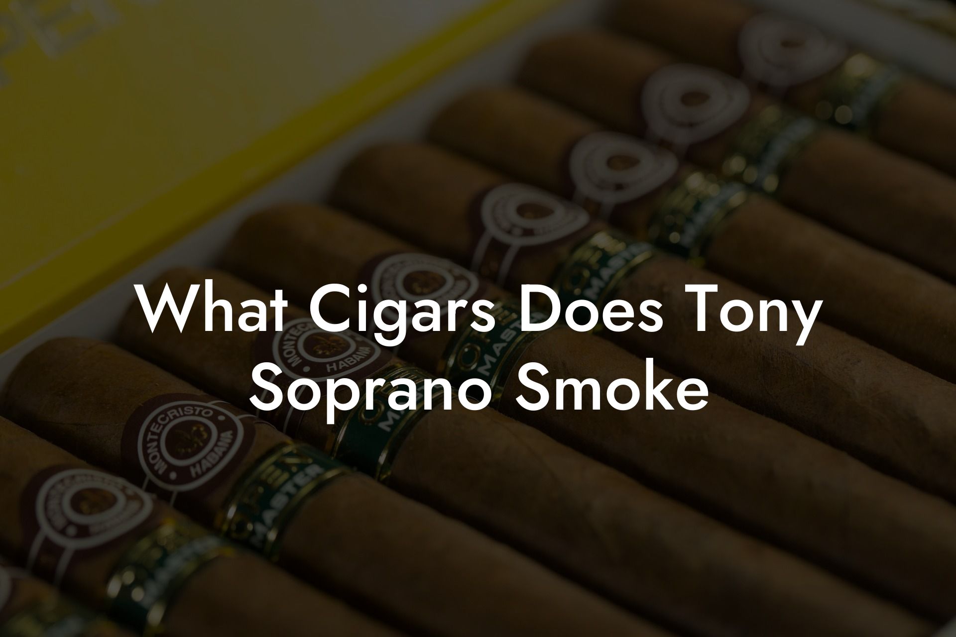 What Cigars Does Tony Soprano Smoke