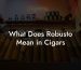 What Does Robusto Mean in Cigars