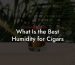 What Is the Best Humidity for Cigars