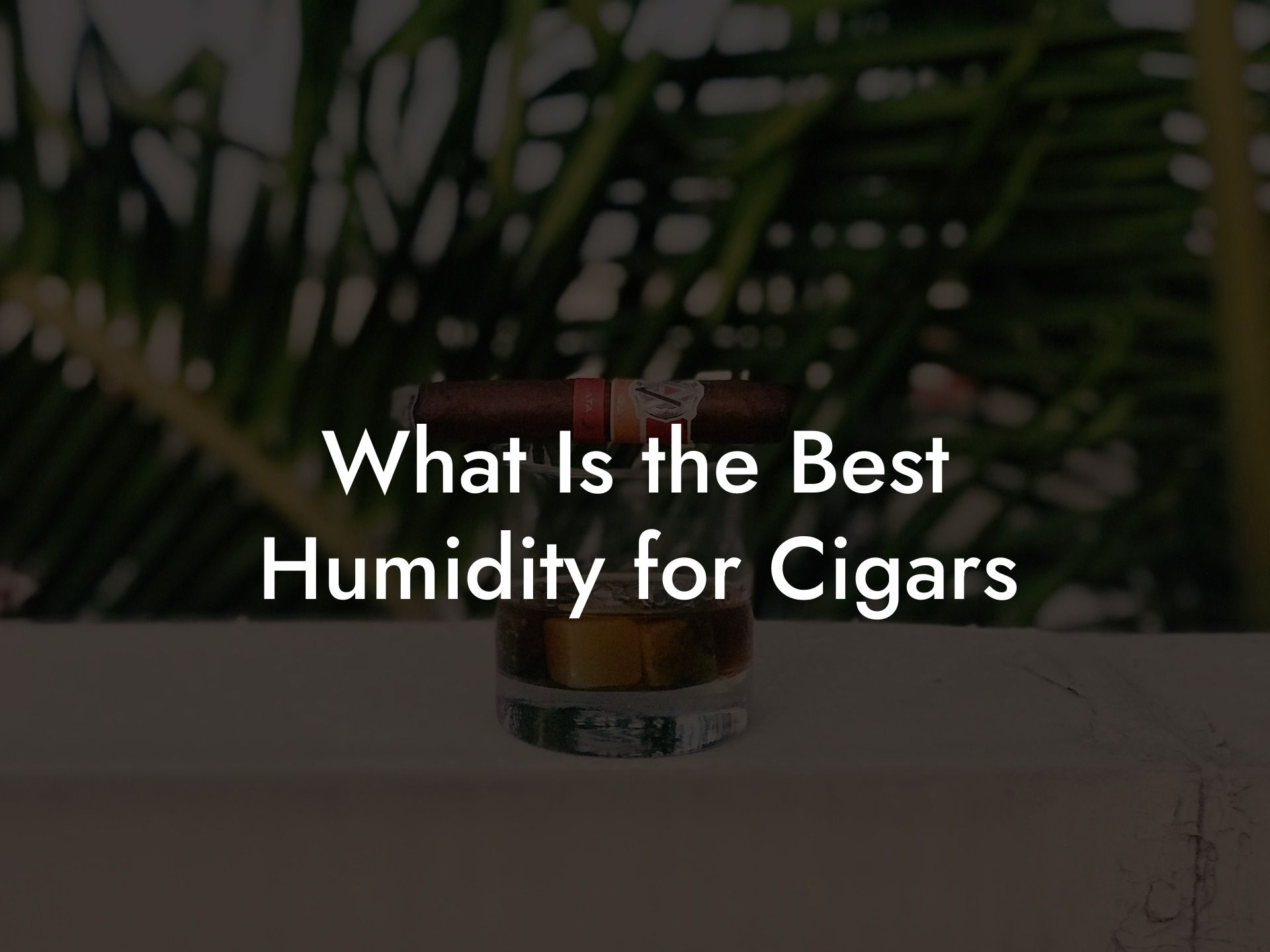 What Is the Best Humidity for Cigars