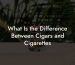 What Is the Difference Between Cigars and Cigarettes