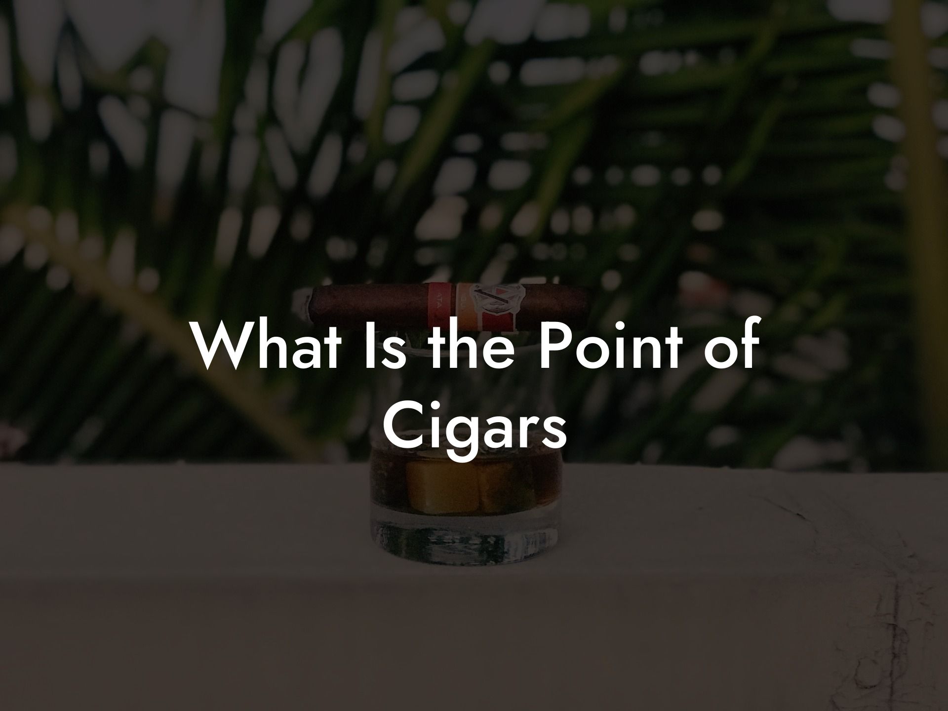 What Is the Point of Cigars