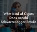 What Kind of Cigars Does Arnold Schwarzenegger Smoke