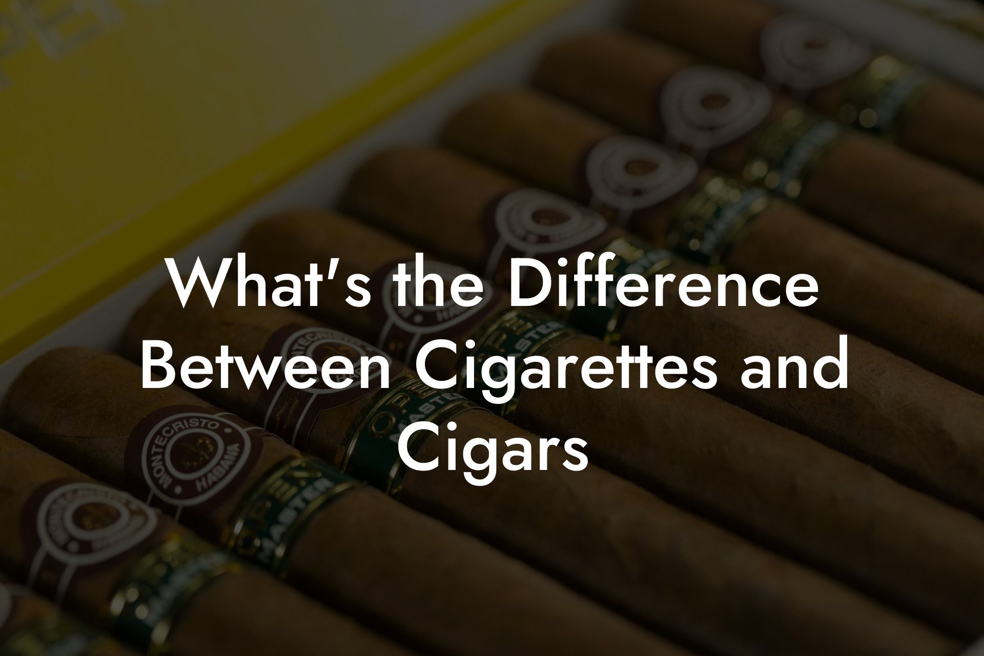 What's the Difference Between Cigarettes and Cigars