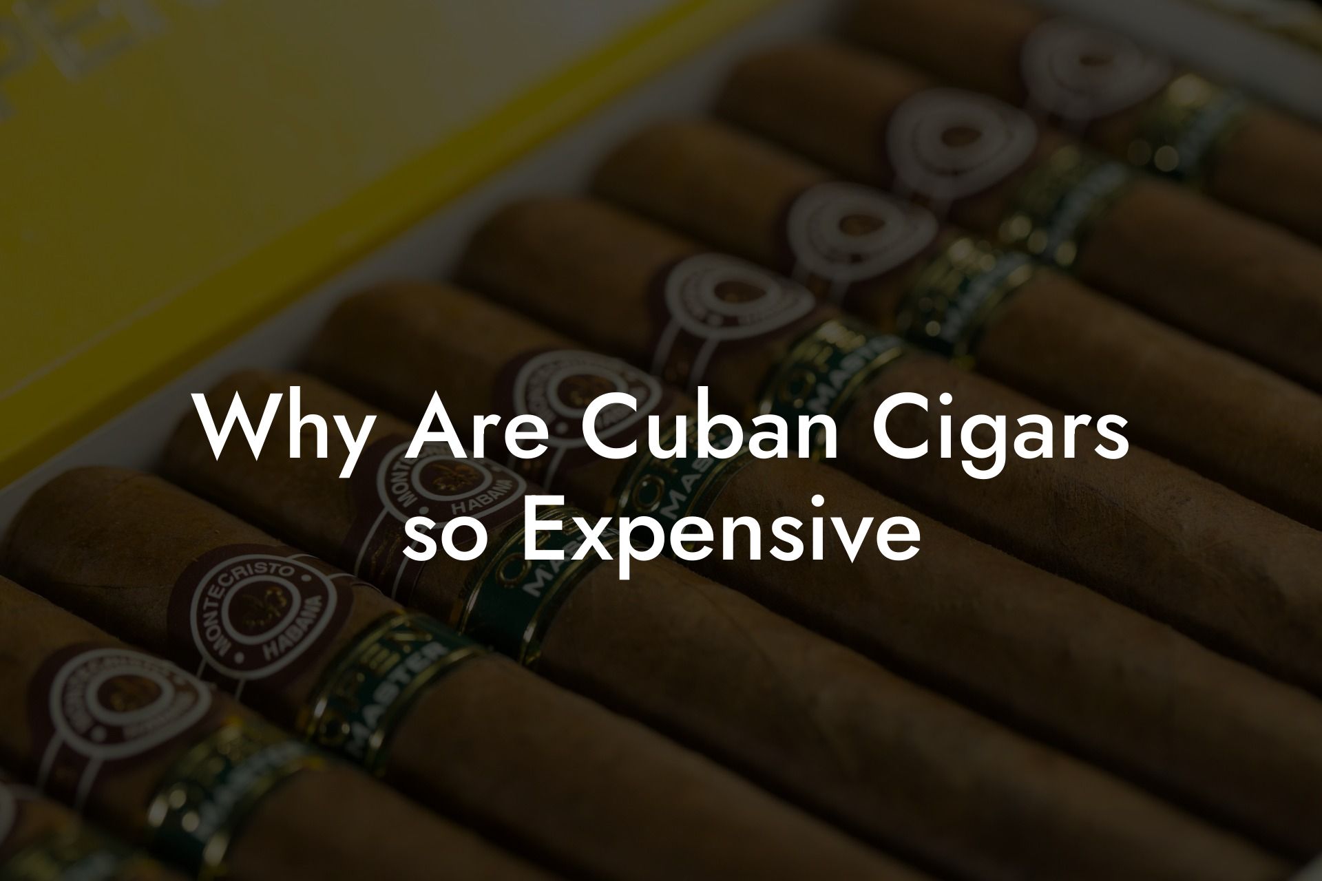 Why Are Cuban Cigars so Expensive