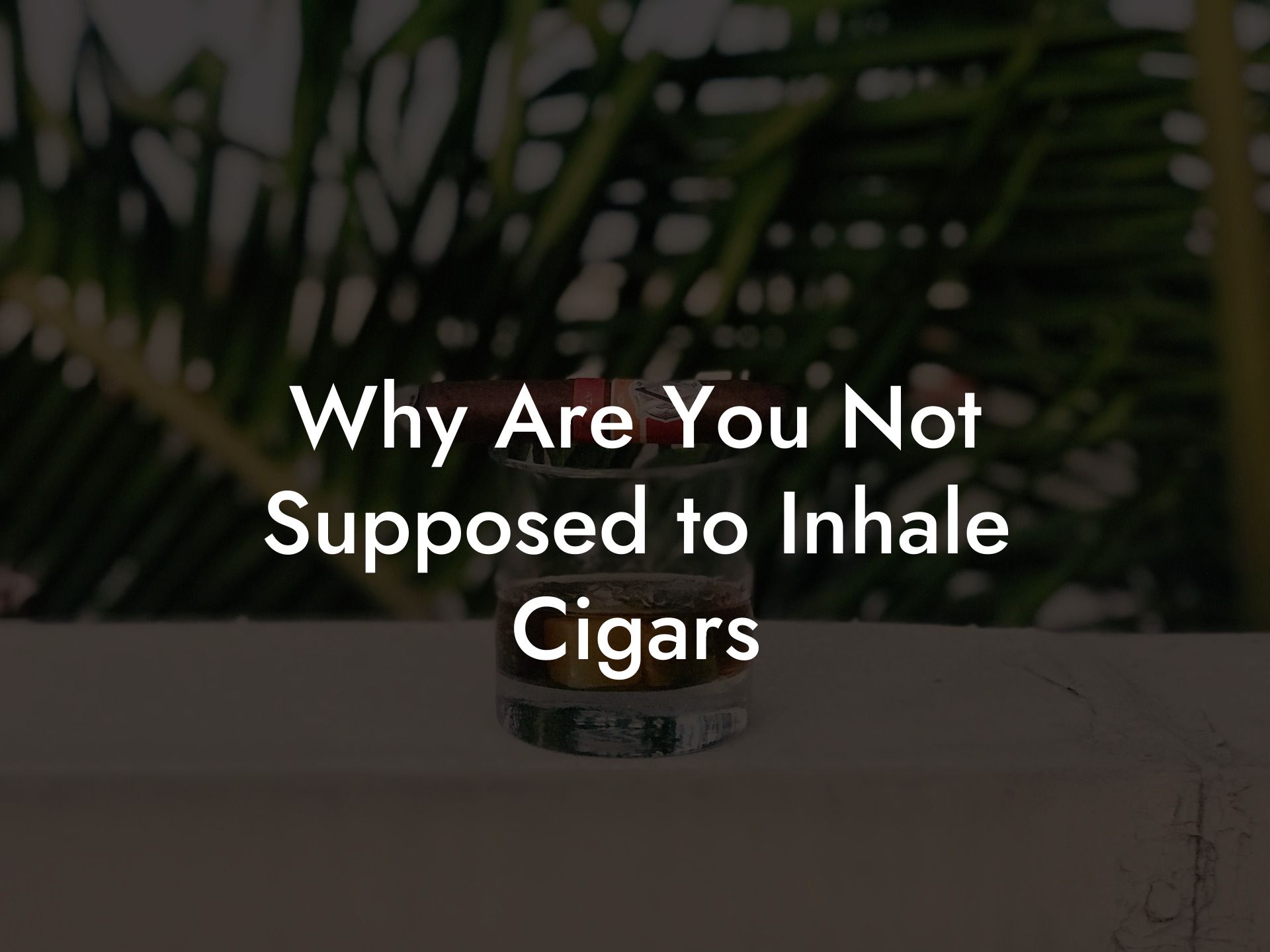 Why Are You Not Supposed to Inhale Cigars