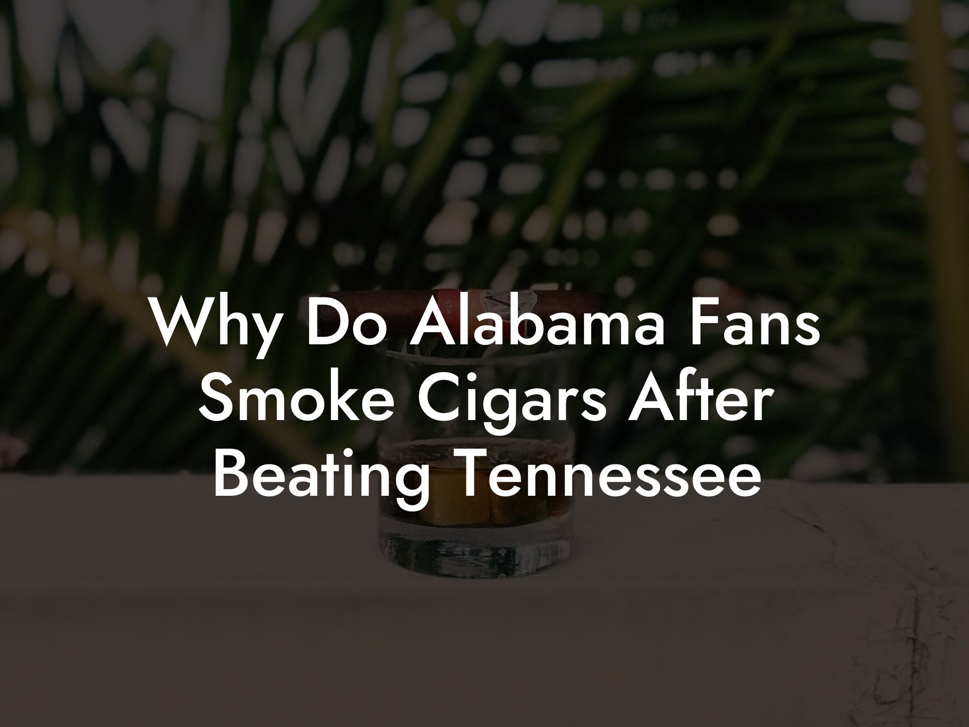 Why Do Alabama Fans Smoke Cigars After Beating Tennessee