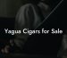 Yagua Cigars for Sale