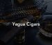 Yagua Cigars